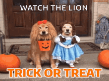 Trick or Treat Sealed
