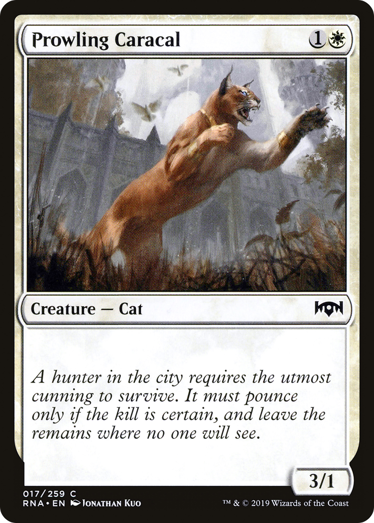 Prowling Caracal (RNA-017) - Ravnica Allegiance
