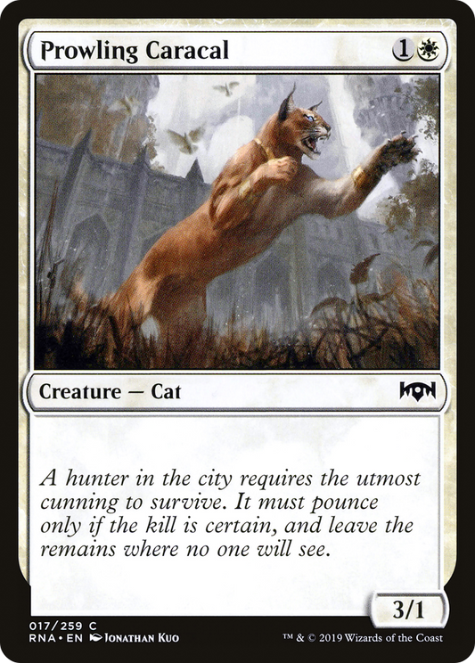 Prowling Caracal (RNA-017) - Ravnica Allegiance